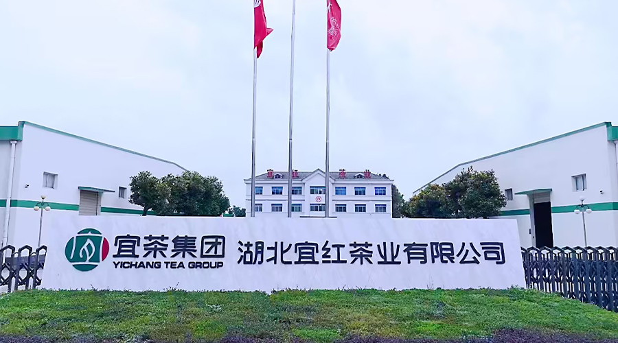 宜茶集团宜红人生就是博官网
