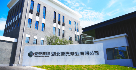 萧氏人生就是博官网