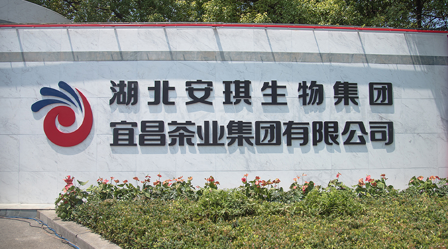 根基性质