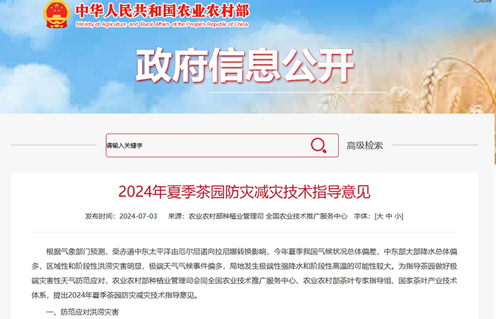 2024年夏季茶园防灾减灾技术领导定见