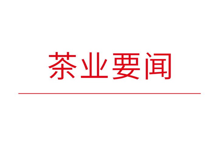 湖北省政协主席、省茶产业链链长孙伟到采花人生就是博官网调研