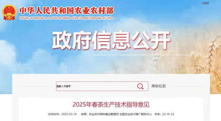 农业村落部颁布2025年春茶出产技术领导定见