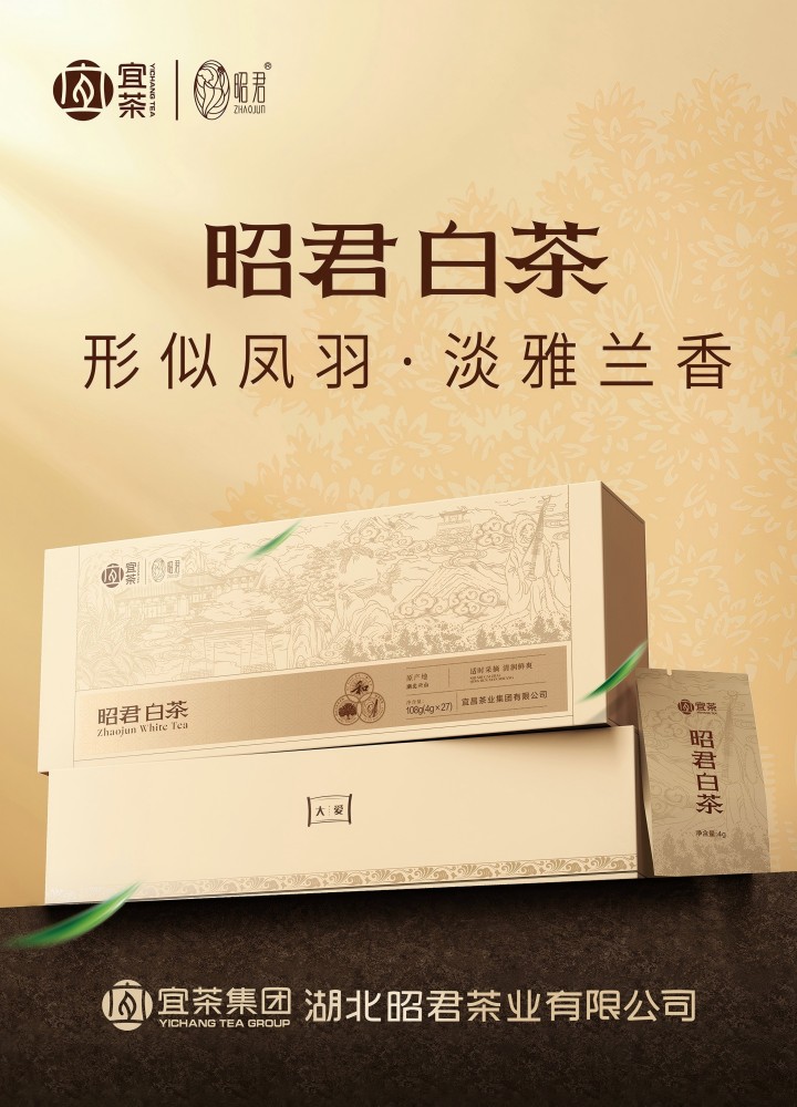 720 昭君白茶.jpg 720 昭君白茶.jpg