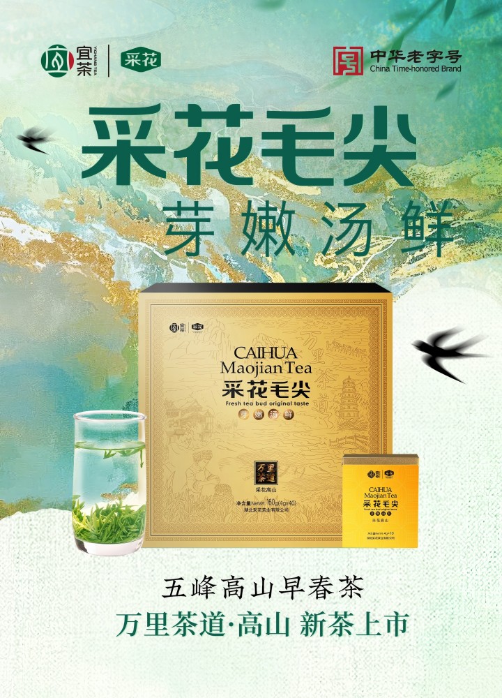 720 采花毛尖-高山.jpg 720 采花毛尖-高山.jpg