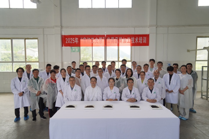 宜茶集团承办全市2025年宜红功夫茶公用品牌加工技术培训