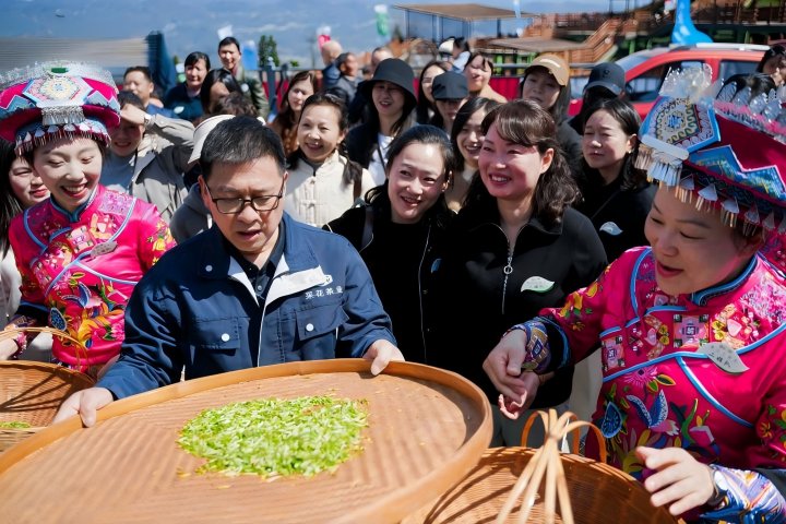 720 采花春茶开园.jpg 720 采花春茶开园.jpg