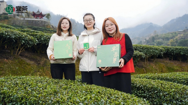开园首采！2026年第一口三峡春鲜，就藏在这杯“早茶”里！